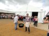 Chanfaina del 2011
